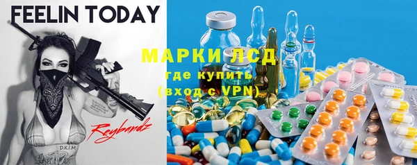 сатива Богородицк