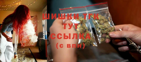 сатива Богородицк