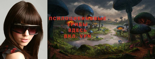 сатива Богородицк