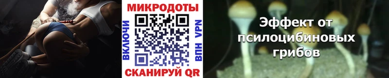 Псилоцибиновые грибы мухоморы  закладка  Кузнецк 